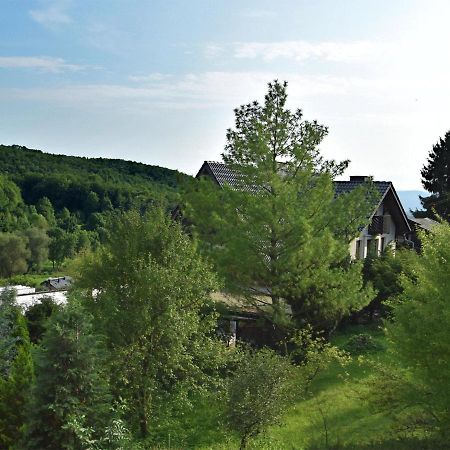 Lovely Holiday Home In The Thuringian Forest With Roof Terrace And Great View Bad Liebenstein Exterior foto