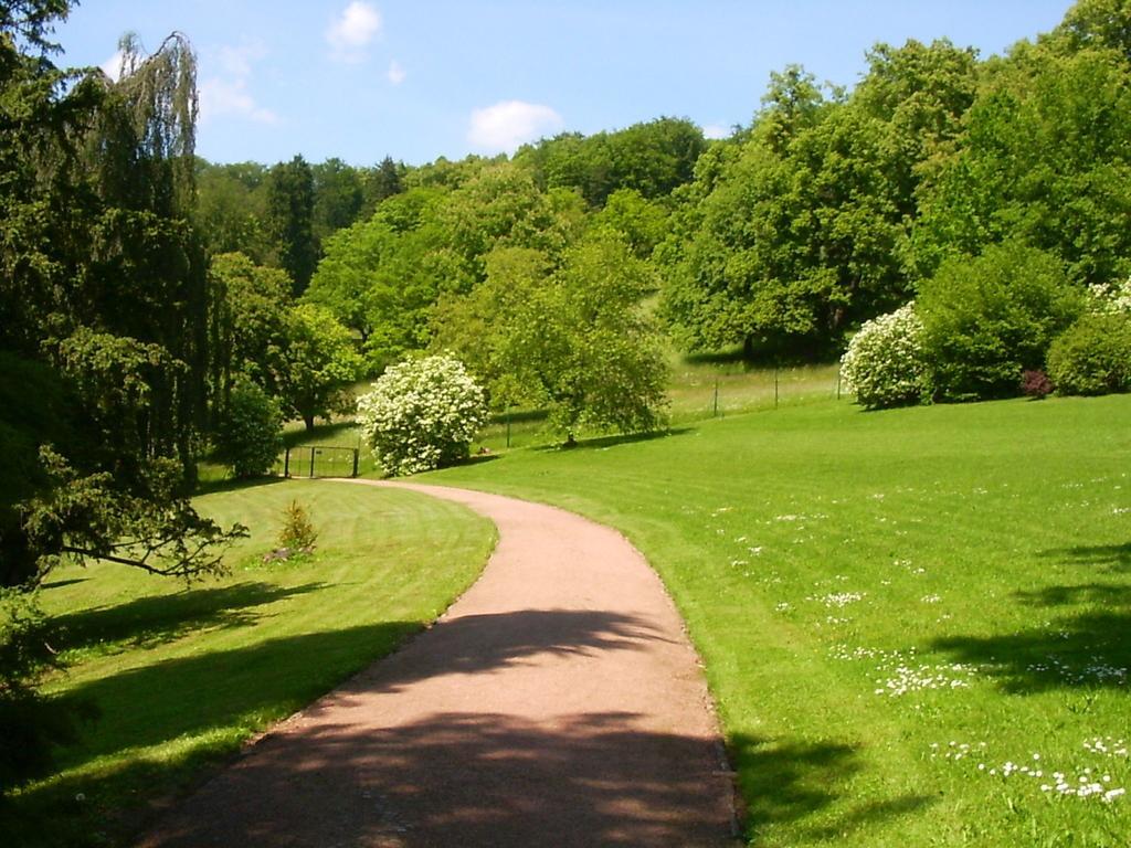 Lovely Holiday Home In The Thuringian Forest With Roof Terrace And Great View Bad Liebenstein Exterior foto